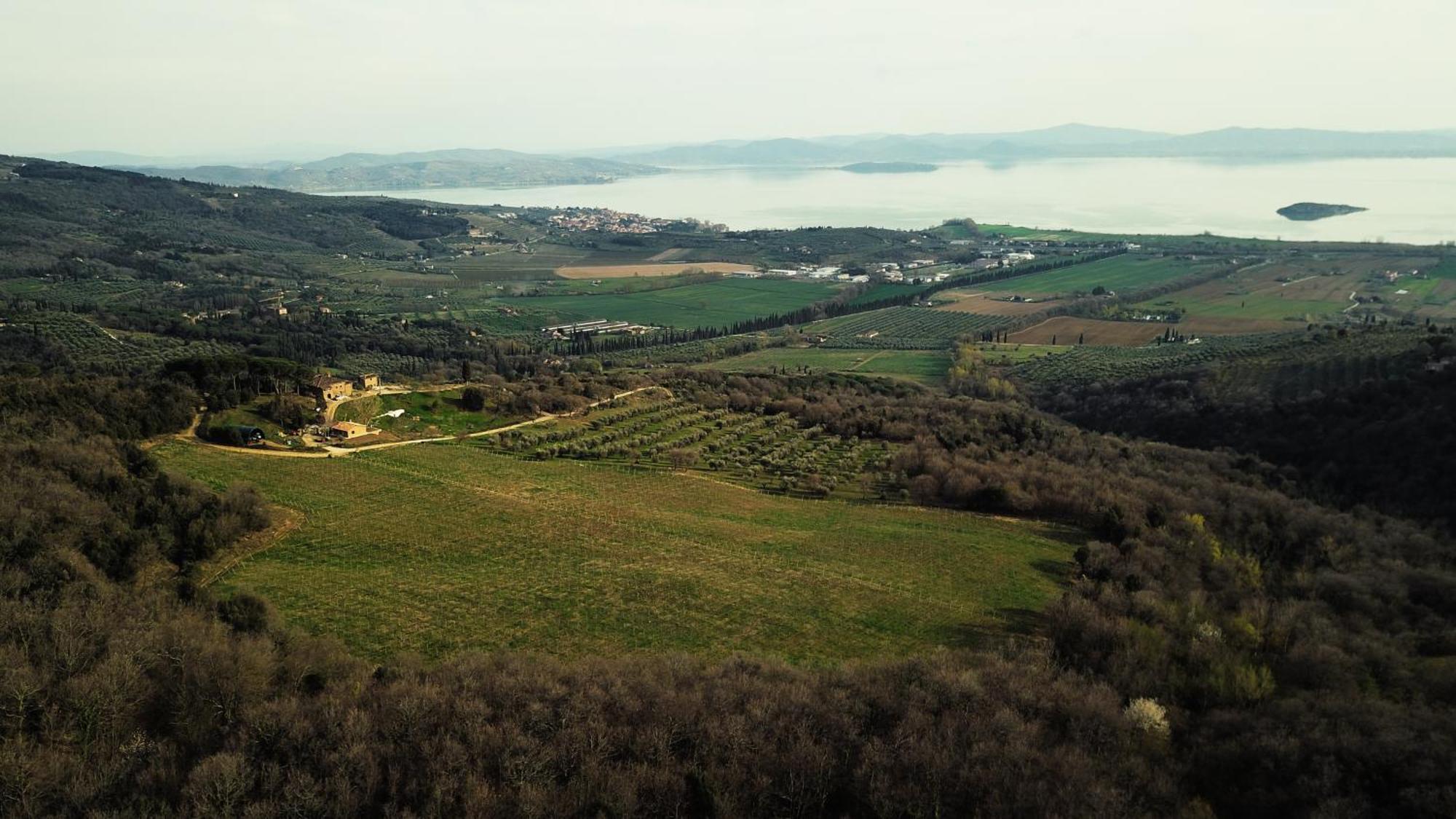 Di Colle In Colle - Agriturismo Пассиньяно-суль-Тразимено Экстерьер фото