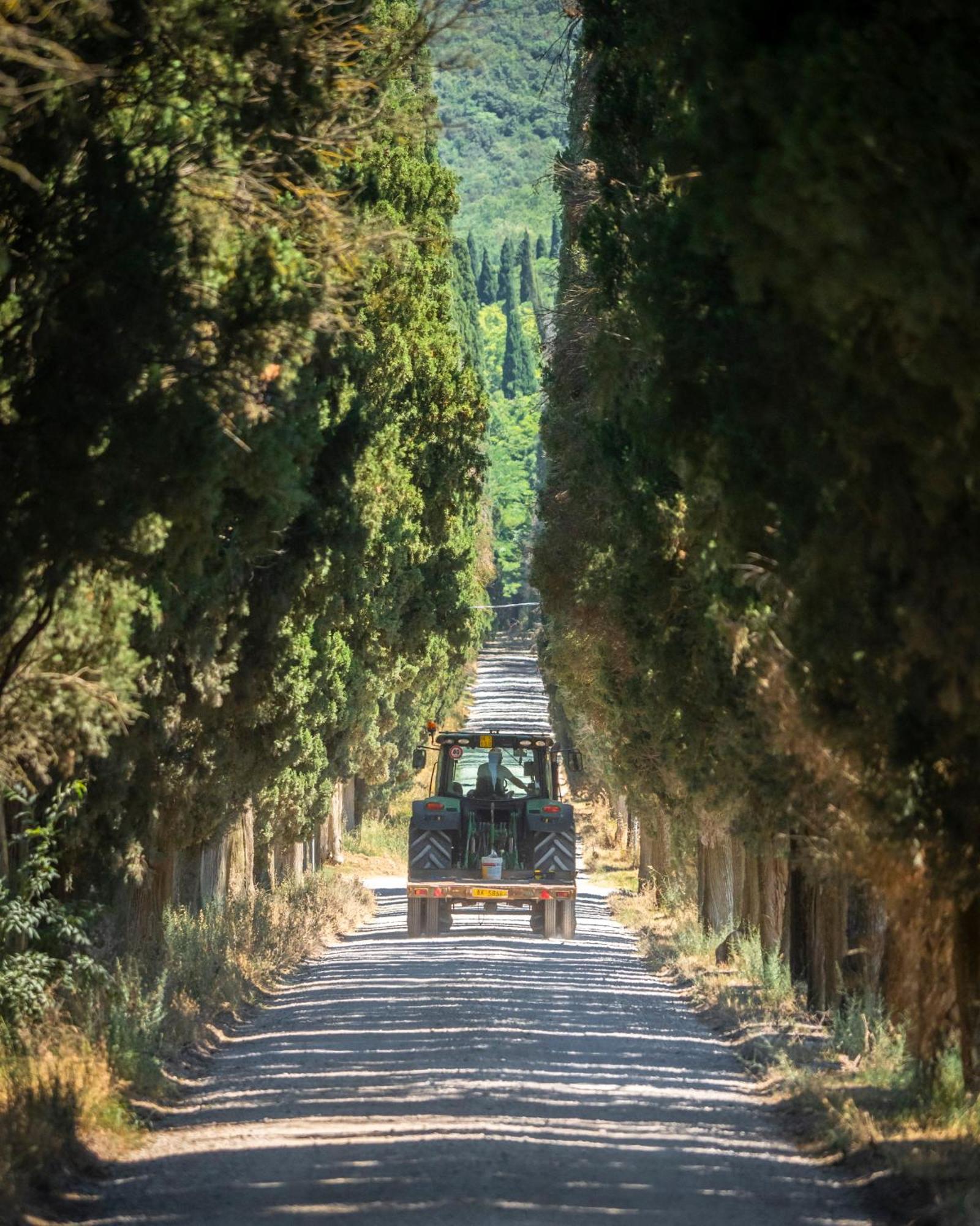Di Colle In Colle - Agriturismo Пассиньяно-суль-Тразимено Экстерьер фото