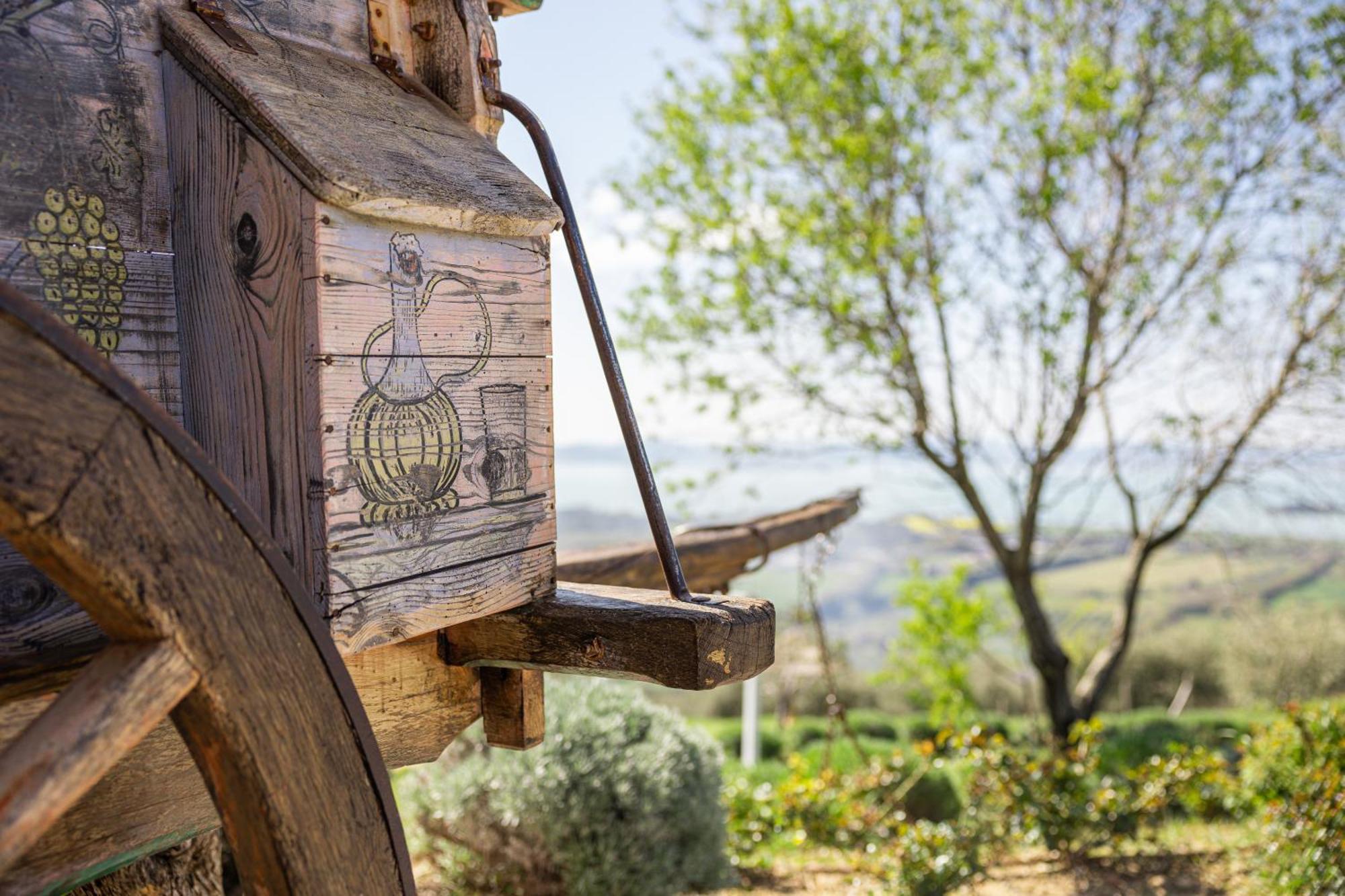 Di Colle In Colle - Agriturismo Пассиньяно-суль-Тразимено Экстерьер фото